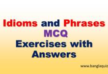 Idioms and Phrases MCQ Exercises with Answers