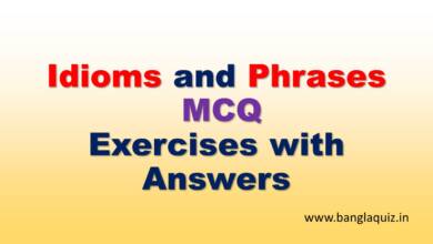 Idioms and Phrases MCQ Exercises with Answers