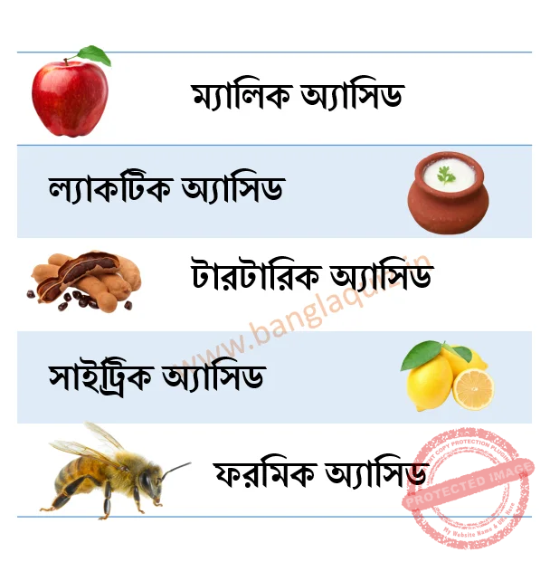 Yalangoch Polyakovaning chiroyli fotosuratlari