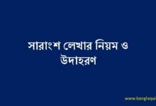 সারাংশ লেখার নিয়ম ও উদাহরণ