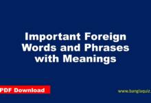 Important Foreign Words and Phrases with Meanings