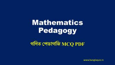 Mathematics Pedagogy