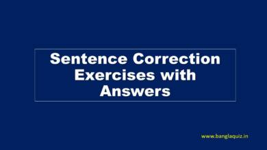 Sentence Correction Exercises with Answers