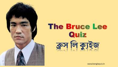 The Bruce Lee Quiz