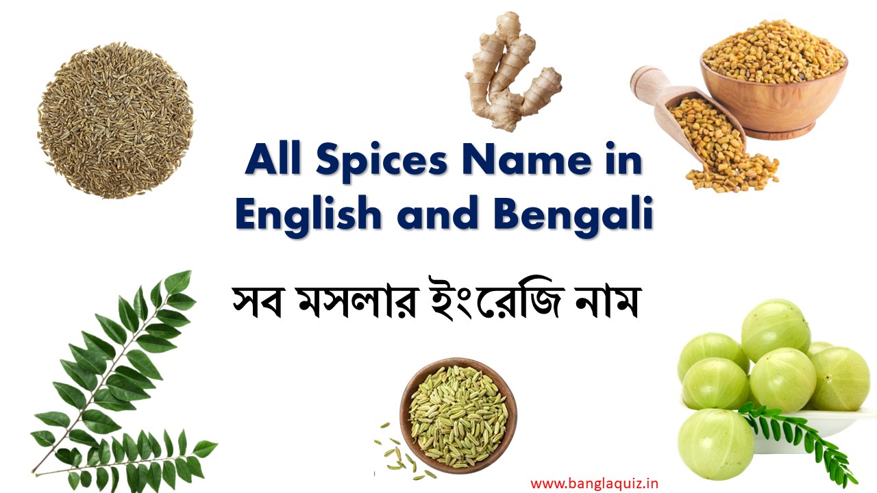 All Spices Name in English and Bengali